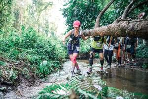 BIB: 
                            <button type="button" onclick="openModal(25473886)" class="btn btn-primary btn-sm float-right btn-popup" data-toggle="modal" data-target=".modal-high-quality">
                        <i class="fas fa-shopping-cart"></i> Add to Cart
                    </button>
                                            <button type="button" onclick="isThisMe(25473886, true)" class="btn btn-success btn-sm float-right btn-popup btn-isme hidden" data-toggle="tooltip" data-placement="bottom" title="นี่คือรูปของคุณใช่ไหม คลิกที่นี่เพื่อเอาเข้าอัลบั้ม">
                        <i class="fas fa-plus"></i> Add to album
                    </button>
                    <button type="button" onclick="isThisMe(25473886, false)" class="btn btn-warning btn-sm float-right btn-popup btn-isnotme hidden">
                        <i class="fas fa-ban"></i> Remove from album
                    </button>